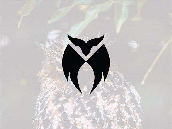 Stylish Owl Logo