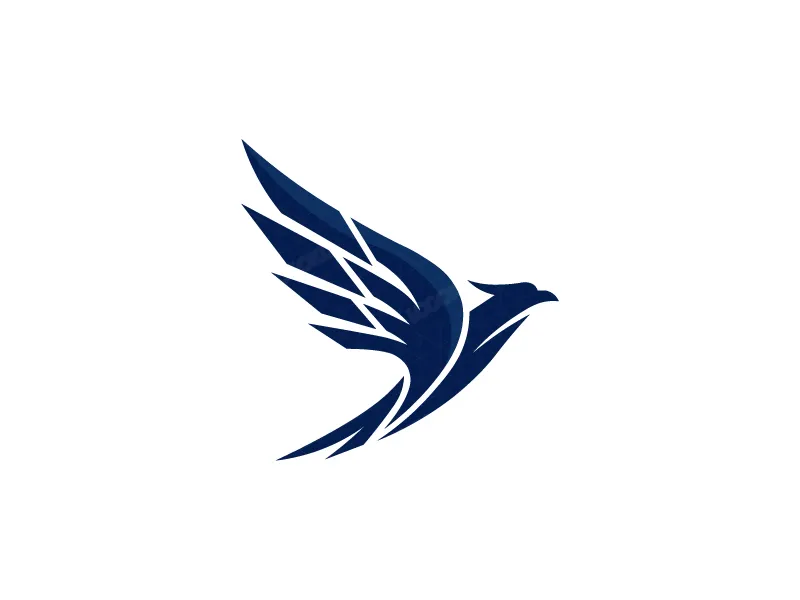 Aquila Volante Dinamica