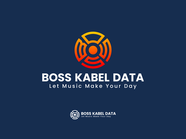 Boss Kabel Data