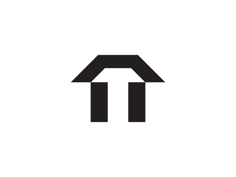 Letter NT logo